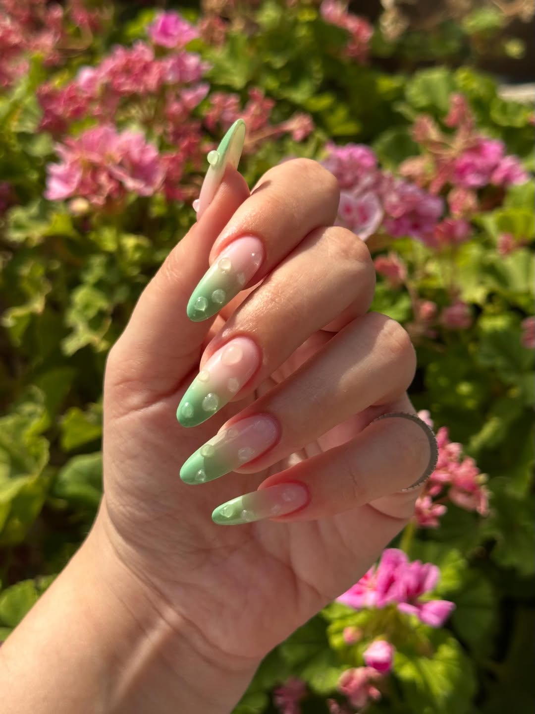 Nail Art Gel — Franchies